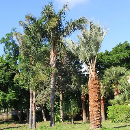 Cleo - Siciliana Villa