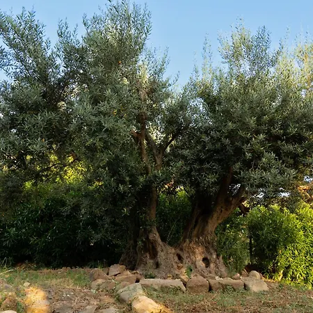 Cleo - Siciliana Villa